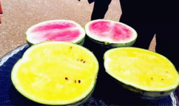 林州市吃瓜最新爆料